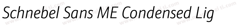 Schnebel Sans ME Condensed Light字体转换